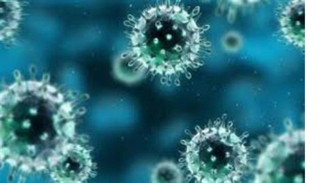 İl Milli Eğitim Müdürlüğü Pandemik İnfluenza Eylem Planı Yayımlandı.