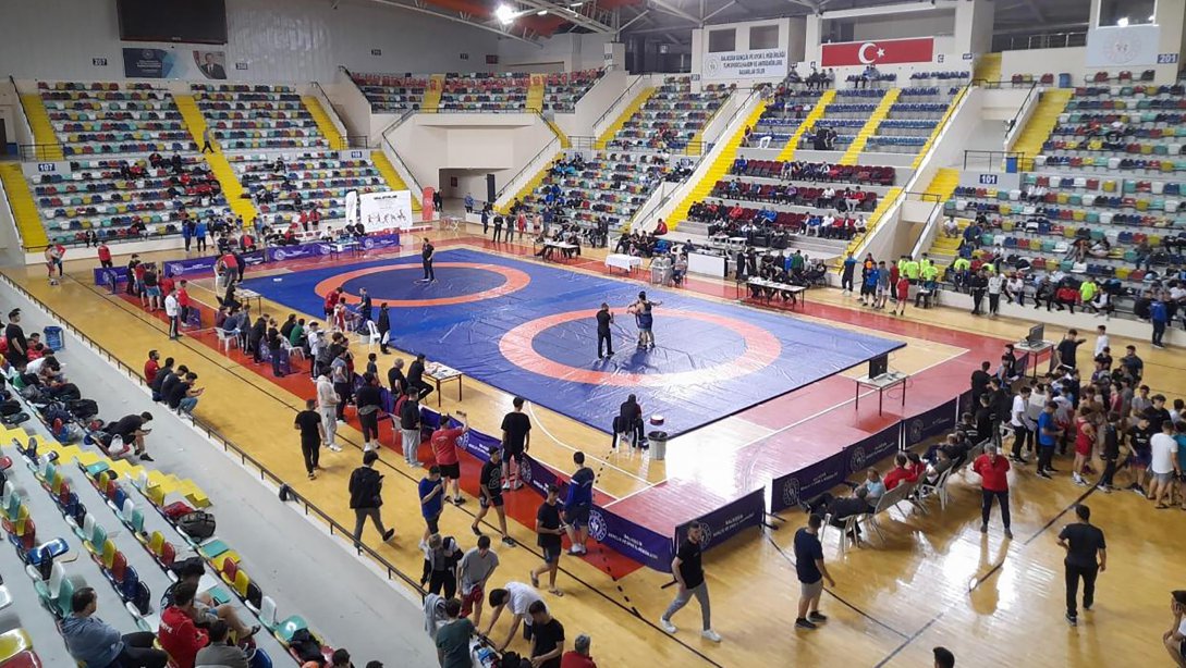 Okul Sporları Gençler Güreş Türkiye Şampiyonası Müsabakalarında Kırşehir'den Türkiye Dereceleri